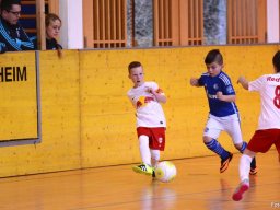 mini-2016-01-30-DSC_4602
